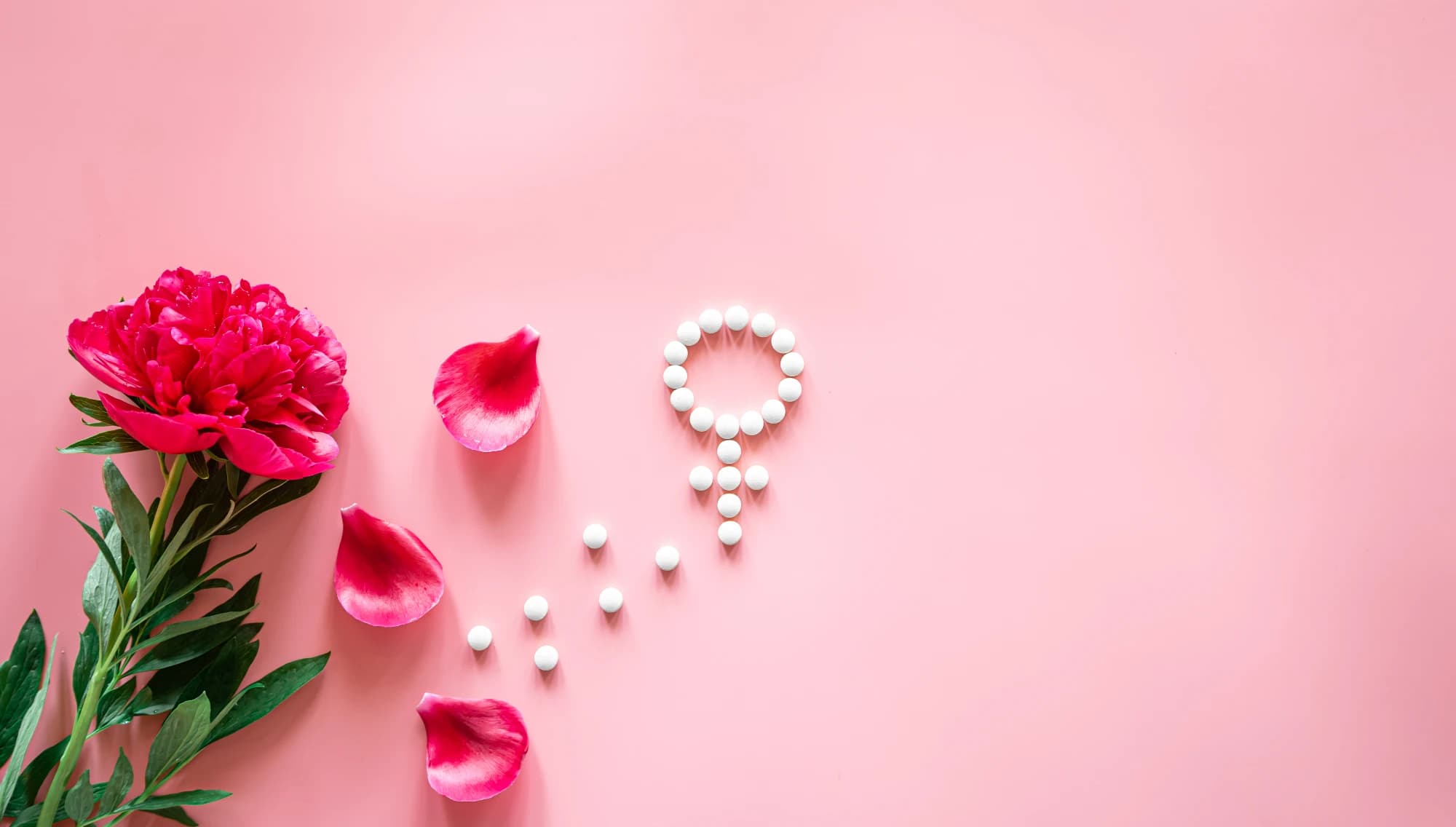 Why Estrogen Affects Muscle and Strength And What Every Woman Over 45 Needs to Know